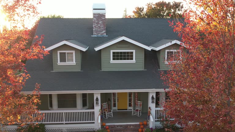 Best Roof Moss and Algae Removal  in Sidney, OH