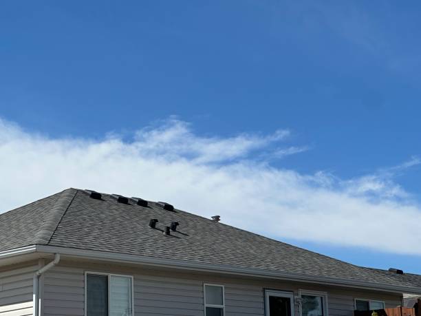 Best Metal Roofing Installation  in Sidney, OH